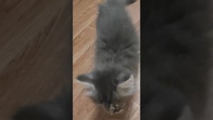 1000209066.mp4