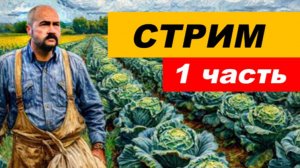 ⚡ Вечерний СТРИМ (1 часть)