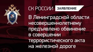 В Ленинградской области несовершеннолетнему предъявлено обвинение в совершении теракта