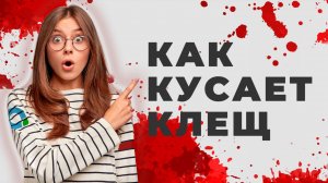 Что происходит после укуса КЛЕЩА