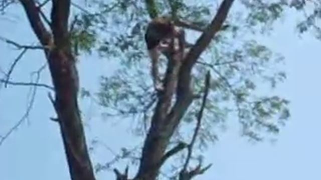 Майкоп. Друг Женька смотреть онлайн