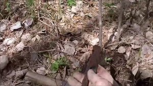 Кладоискатель . Удачный рейд ( полная версия).