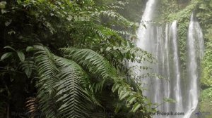 Музыка мечты и виды сказочного леса - Ache -- Independent Music Licensing Collective (IMLC) -- KETSA