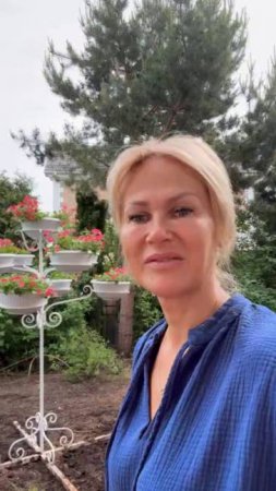 Петуниевое дерево нашло наконец свое место жительства!