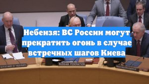 Небензя: ВС России могут прекратить огонь в случае встречных шагов Киева