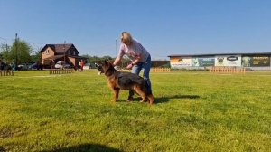 1 ОП Team Zilber Wasserfall ROMUL №68 / КЧК БРОННИЦЫ 25 мая`25 F.Bogoeski, О.Васильев Моно немецких