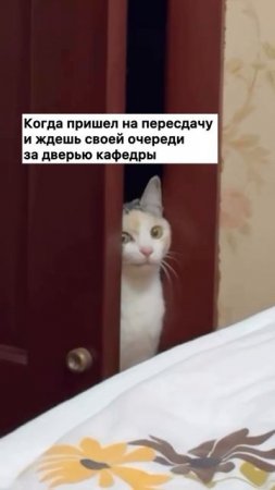 И очередь такая еще длинная