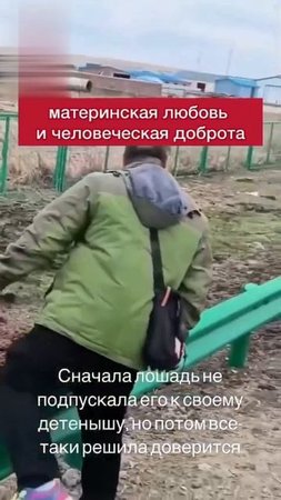 Помощ лошадке и её жеребёнку