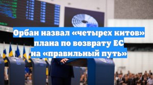 Орбан назвал «четырех китов» плана по возврату ЕС на «правильный путь»
