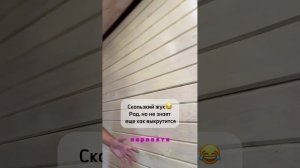 3967861405998872736