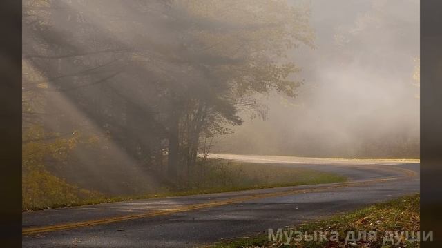 Невероятно красивая песня новинка февраль 2025