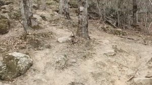 Как мы открывали сезон 2024.