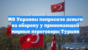 МО Украины попросило деньги на оборону у принимающей мирные переговоры Турции