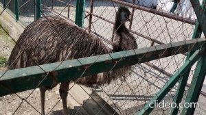Сочи в апреле (Дендрарий)