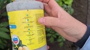 СЕКРЕТНАЯ ПОДКОРМКА ДЛЯ БУРНОГО РОСТА ТОМАТОВ, ОГУРЦОВ И ПЕРЦА: КАК ИЗБЕЖАТЬ ЖЕЛТЕНИЯ ЛИСТЬЕВ И Б...