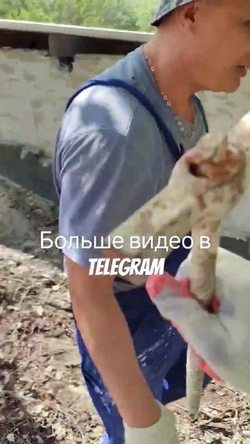 никогда так не делайте #неповторять #кирка #крыша #покр