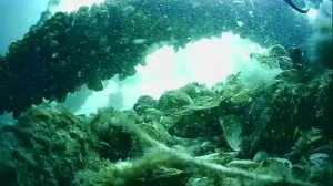 1000043766.mp4Волга гл 5м.30.05.2025г.