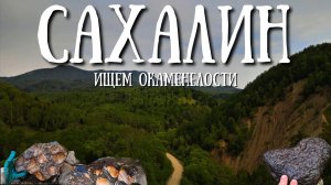 Сахалин - ищем окаменелости и амониты на местных речках