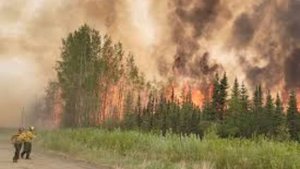 Пожарные команды и два самолета были направлены на борьбу с лесным пожаром вблизи канадского города