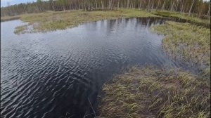 Озеро "В". Часть 2. "Клондайк в Эльдорадо".