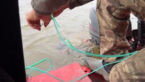 Нашли РЫБНОЕ МЕСТО В АСТРАХАНИ... И ПОНЕСЛАСЬ!