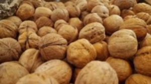 ЗАПОМНИТЕ РАЗ И НАВСЕГДА,ЧЕМ ОПАСНЫ ГРЧЗНЫЕ ОРЕХИ ???
