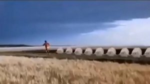 тюлений штурм