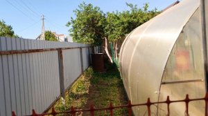 Обитатели нашего парка🤭 На улице более +30С⁰☀️ Дела по саду не отменяются🌿🌱🏡. Порядок в теплицах