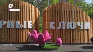 Земля Приморская / Комфорт и красота / 31.05.25