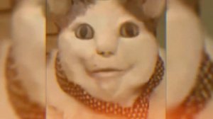 Клип Песня КОТ БУ ИСПУГАЛСЯ Мем (страшилка) НЕ БОЙСЯ Пр