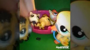 МОЯ ЖЕНА РОДИЛА!!! ЦЭЛЫХ 3 ДЕТЕЙ