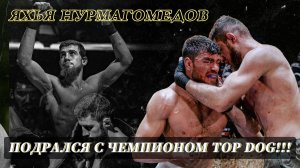 НУРМАГОМЕДОВ БОРОЛСЯ С БЫКОМ! TD 36. Черная Кобра. Интервью. Белаз/Шлеменко.Hardcore.Хантер/Никархо