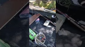 Отзыв на лодку  Киммерия 400R с козырьком