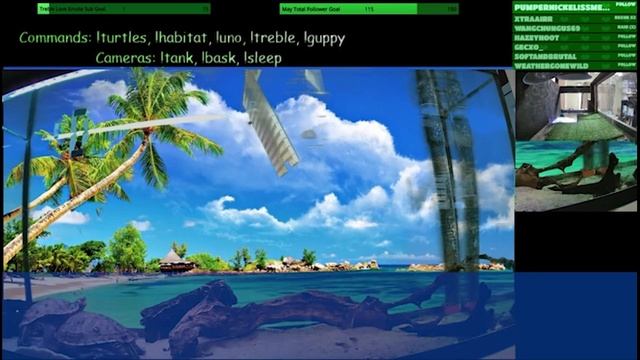 Моя пьяная жена призналась что она не привлекается ко