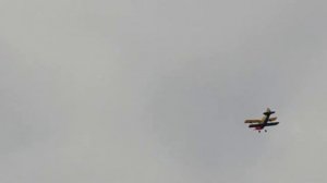 радиоуправляемый пилотажный самолет PITS