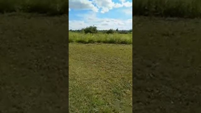 Дачные посиделки смотреть онлайн