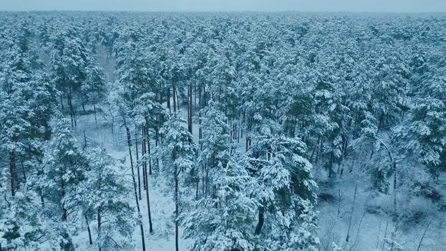 Зимняя расслабляющая музыка ❄️Природа, спокойствие,