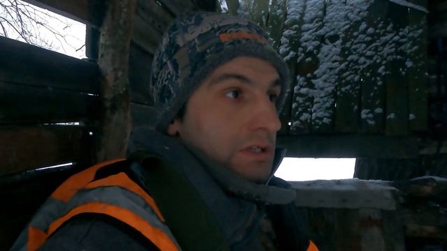 Охота на лисицу на приваде и с подхода SFH VARG 35RL смотреть онлайн