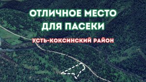 Земельный участок 85 соток под пасеку в Усть-Коксе