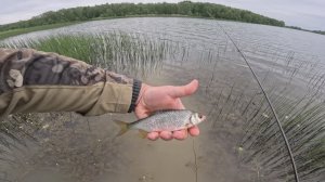 Ультралайт. Рыба в ударе. Пасмурно и Душно. Вода слеза.