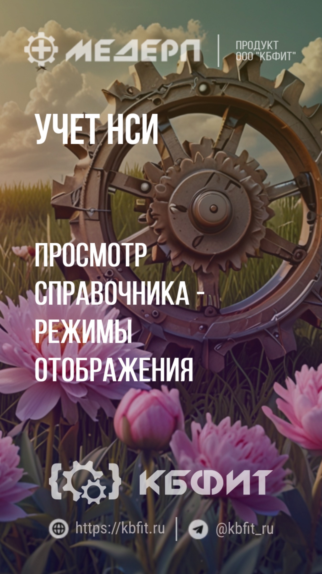 КБФИТ: МЕДЕРП. Учет НСИ: Просмотр справочника - режимы отображения