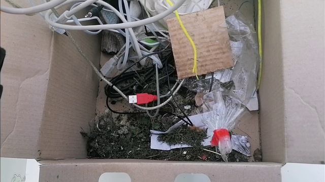 Как я зарабатываю лазая по мусоркам Питера? #Dumpster Diving