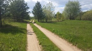 Природа на берегу Вятки в мае. Красивая инструментальная мелодия.