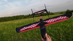 Решил стать птичкой. Самолет  Skyhunter Racing 787мм.