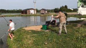 класный клёв африканского сома