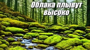 Облака плывут высоко