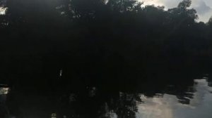 Лодка Броня-300М с мотором HDX T2.6BMS 25 августа 2024 года.