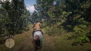 Red Dead Redemption 2