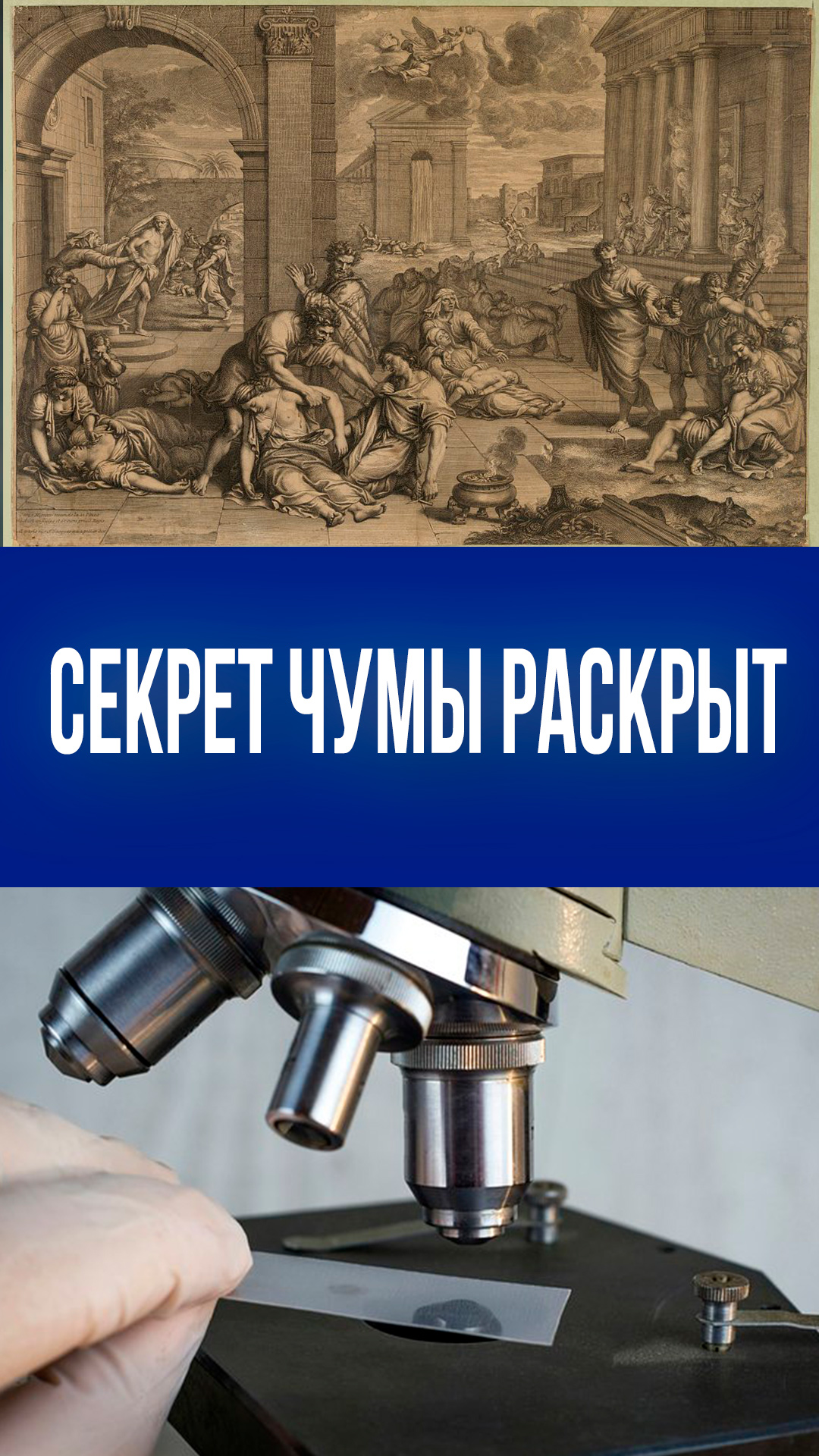 Чума мутировала: 2 гена изменили смертность и заразность – научный прорыв