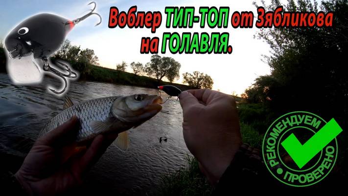 Ещё один уловистый воблер на голавля от Зябликова. Воблер ТИП-ТОП - голавля ловит.